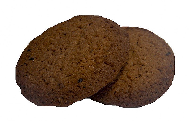 Шульжицкий